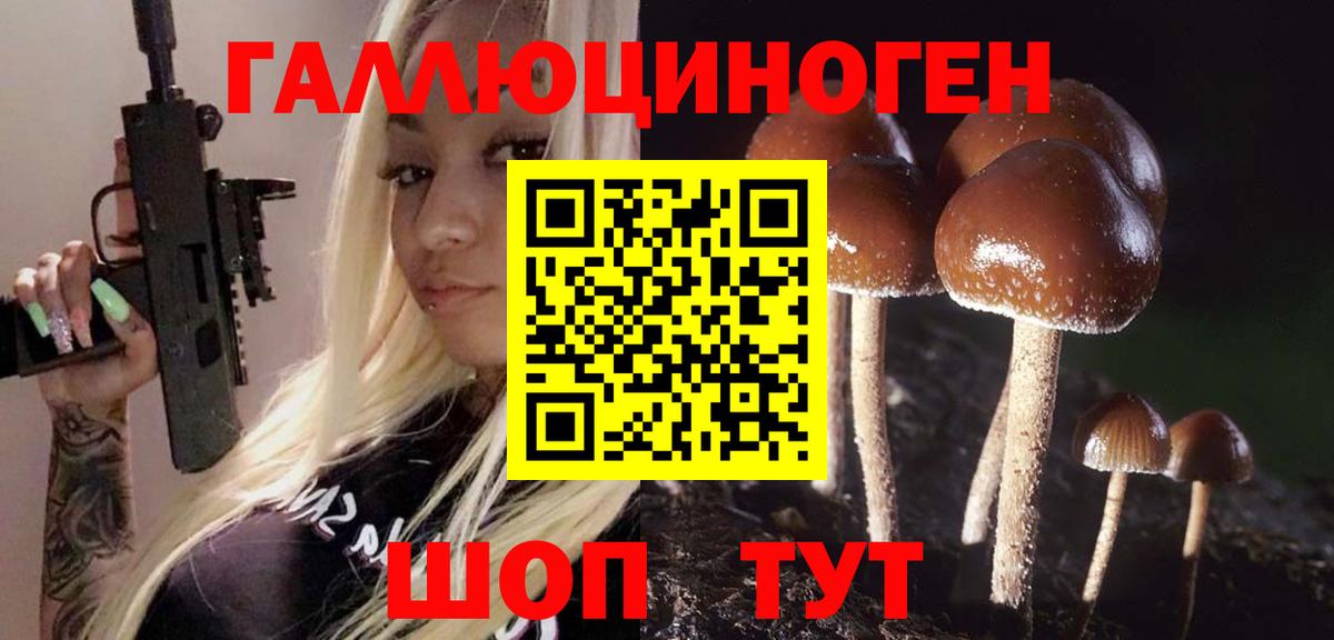 Сосновый Бор  Псилоцибиновые грибы ЛСД  Вход с VPN 