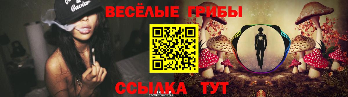 Псилоцибиновые грибы Psilocybine cubensis Сосновый Бор